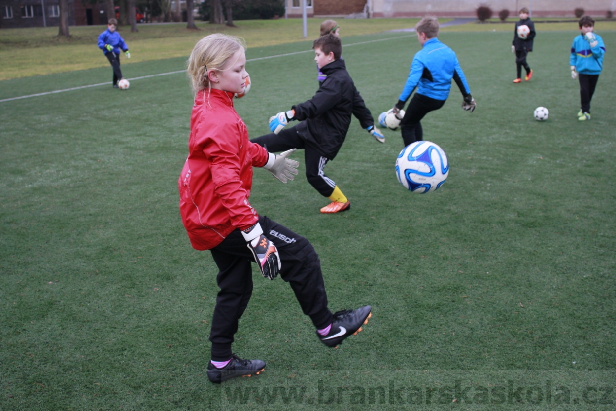 BFŠJCH - Zima 2015 - 30.1.2015