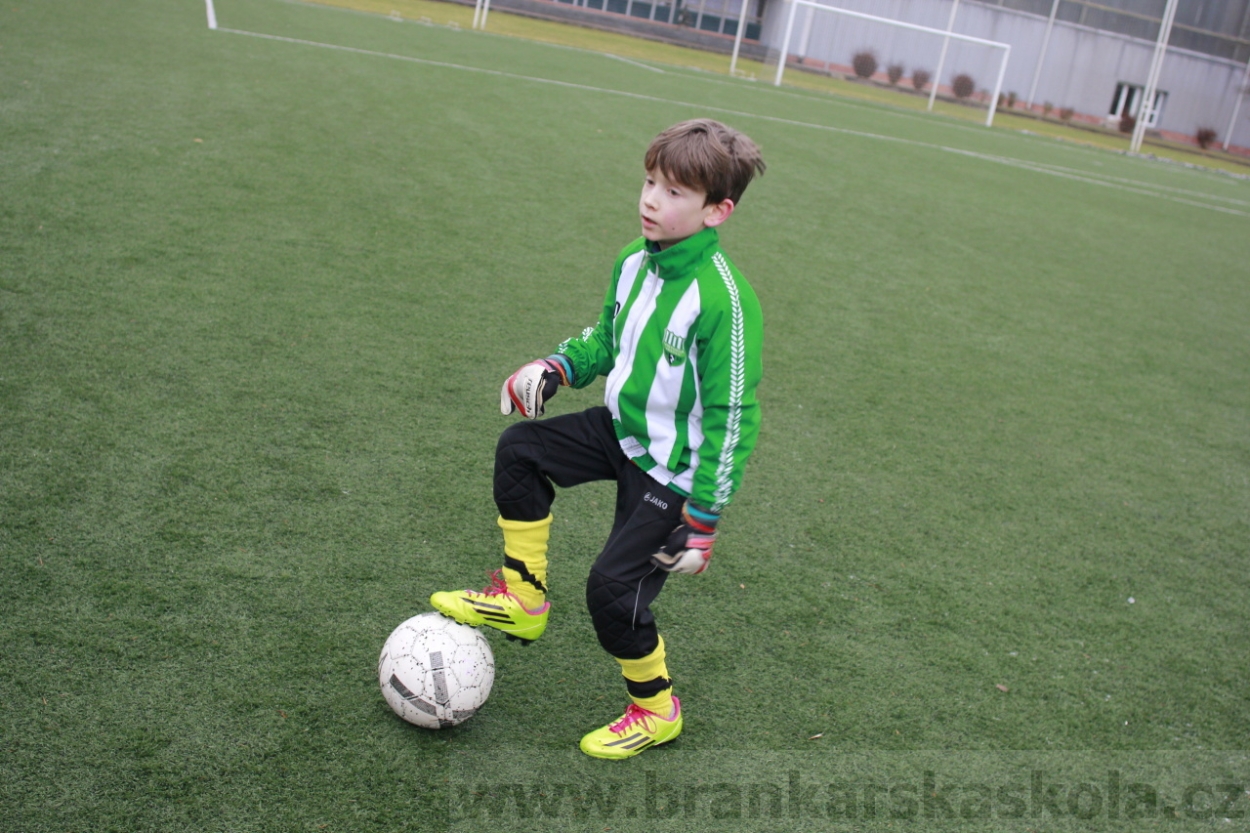 BFŠJCH - Zima 2015 - 30.1.2015