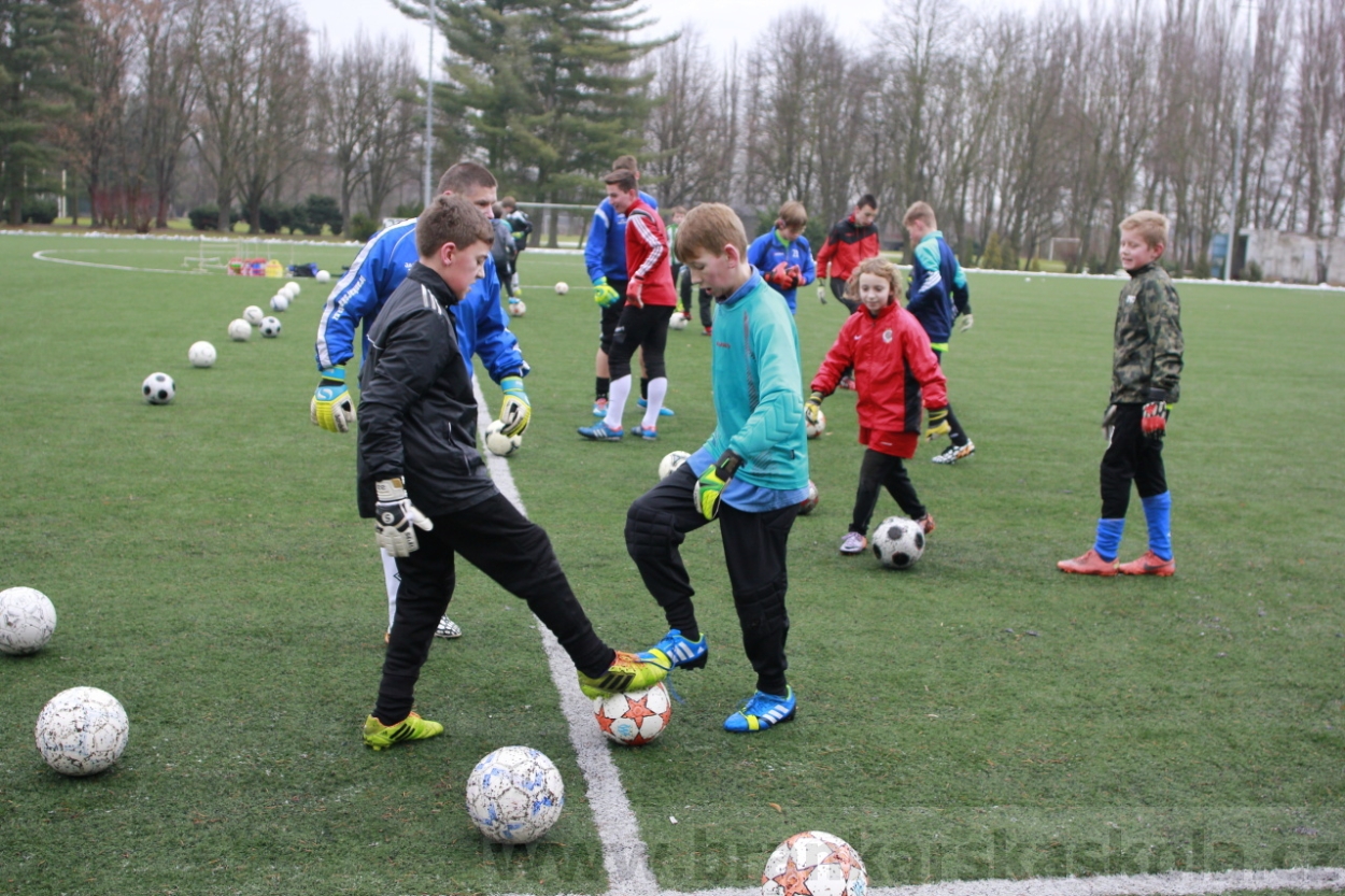 BFŠJCH - Zima 2015 - 30.1.2015