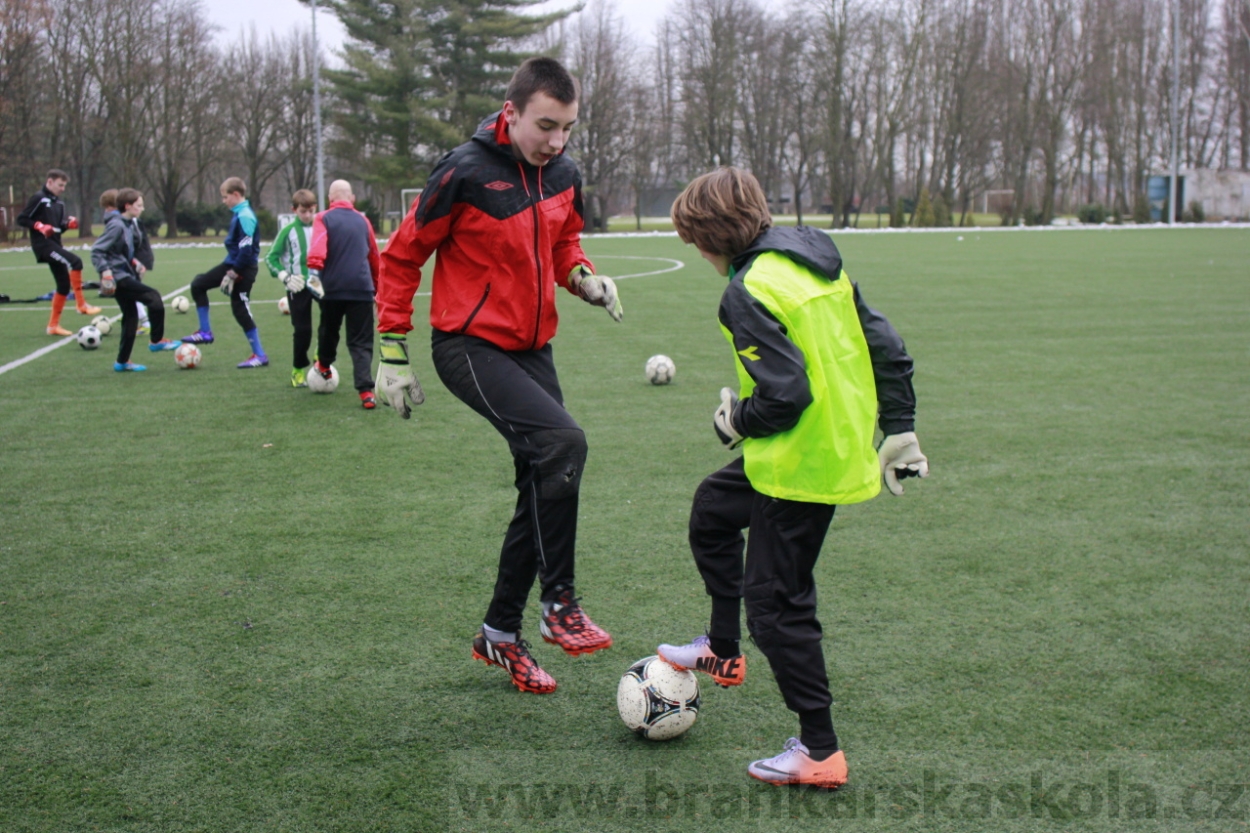 BFŠJCH - Zima 2015 - 30.1.2015