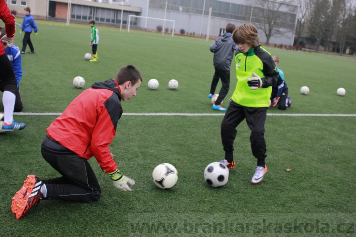 BFŠJCH - Zima 2015 - 30.1.2015