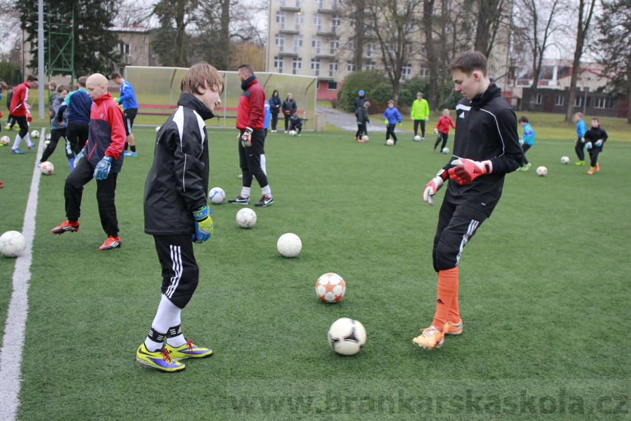 BFŠJCH - Zima 2015 - 30.1.2015