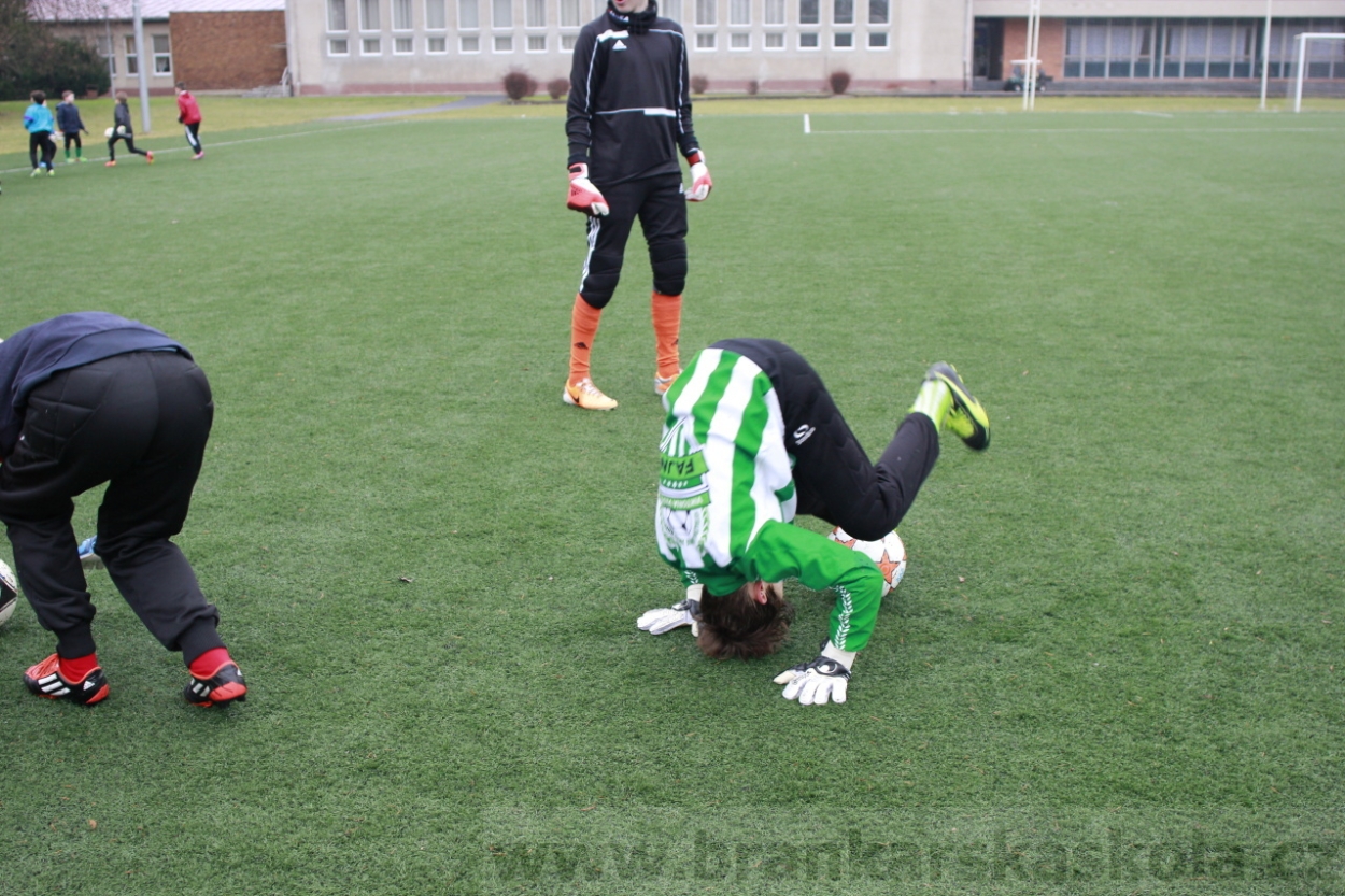 BFŠJCH - Zima 2015 - 30.1.2015