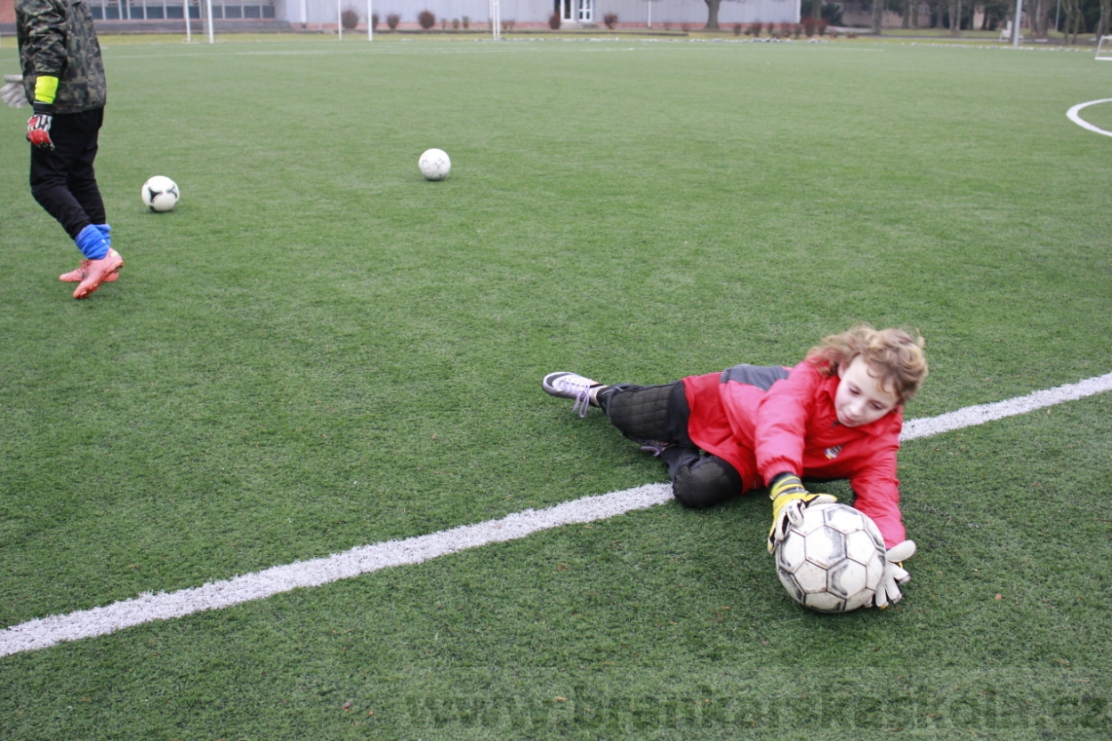 BFŠJCH - Zima 2015 - 30.1.2015