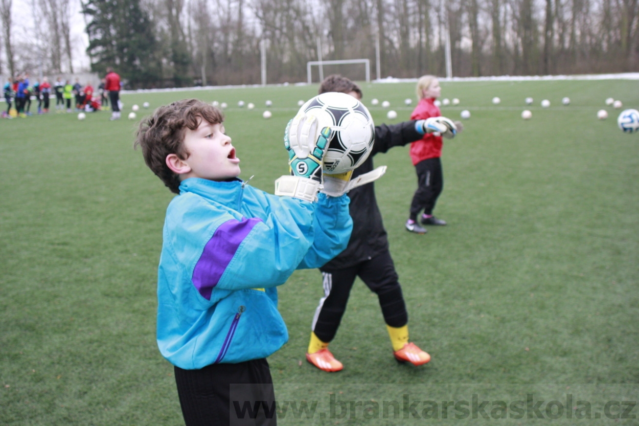 BFŠJCH - Zima 2015 - 30.1.2015