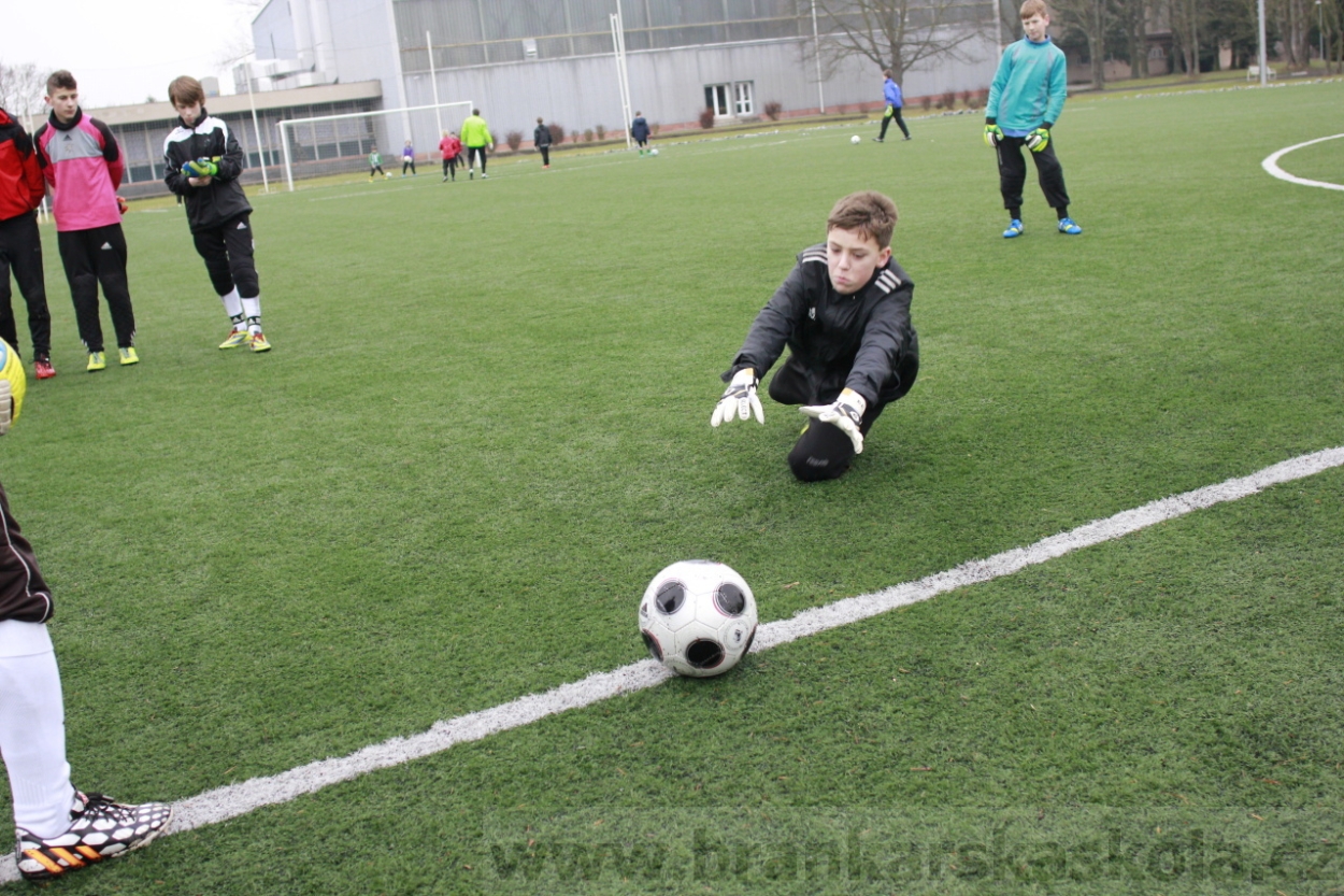 BFŠJCH - Zima 2015 - 30.1.2015