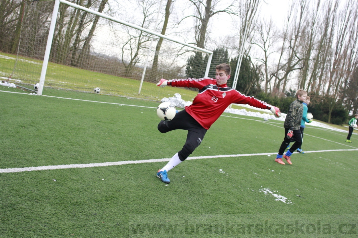 BFŠJCH - Zima 2015 - 30.1.2015