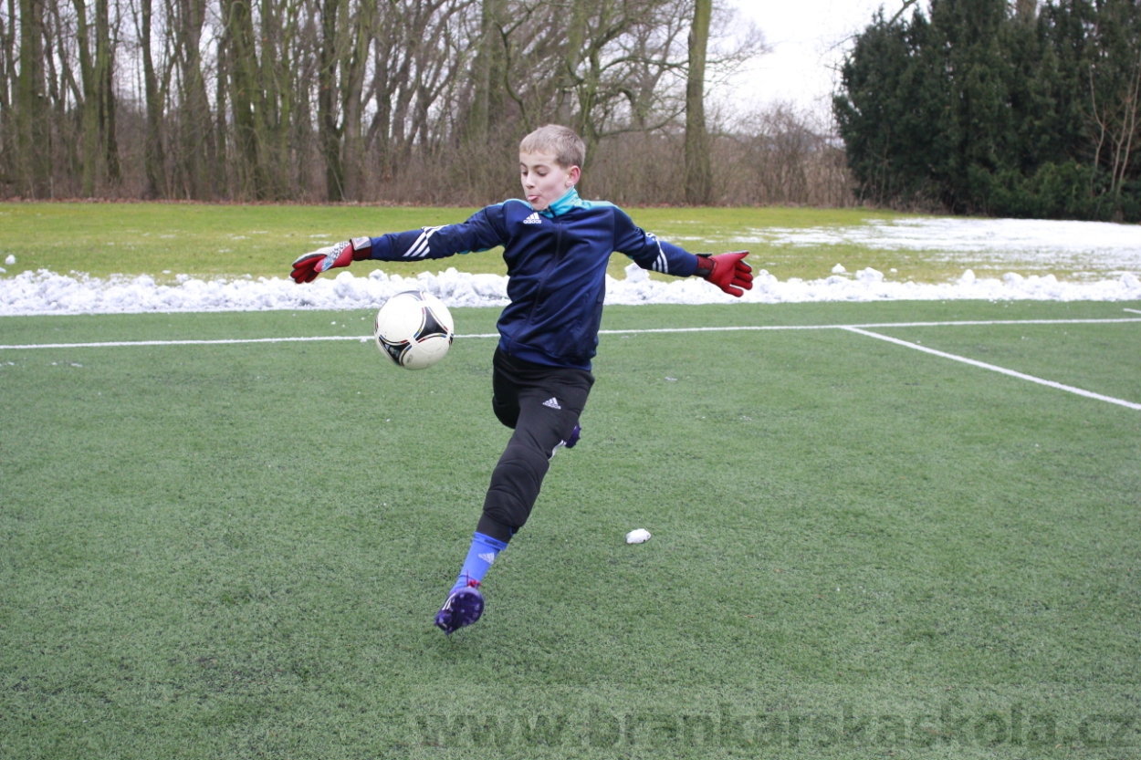 BFŠJCH - Zima 2015 - 30.1.2015