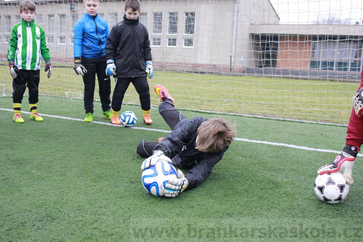 BFŠJCH - Zima 2015 - 30.1.2015