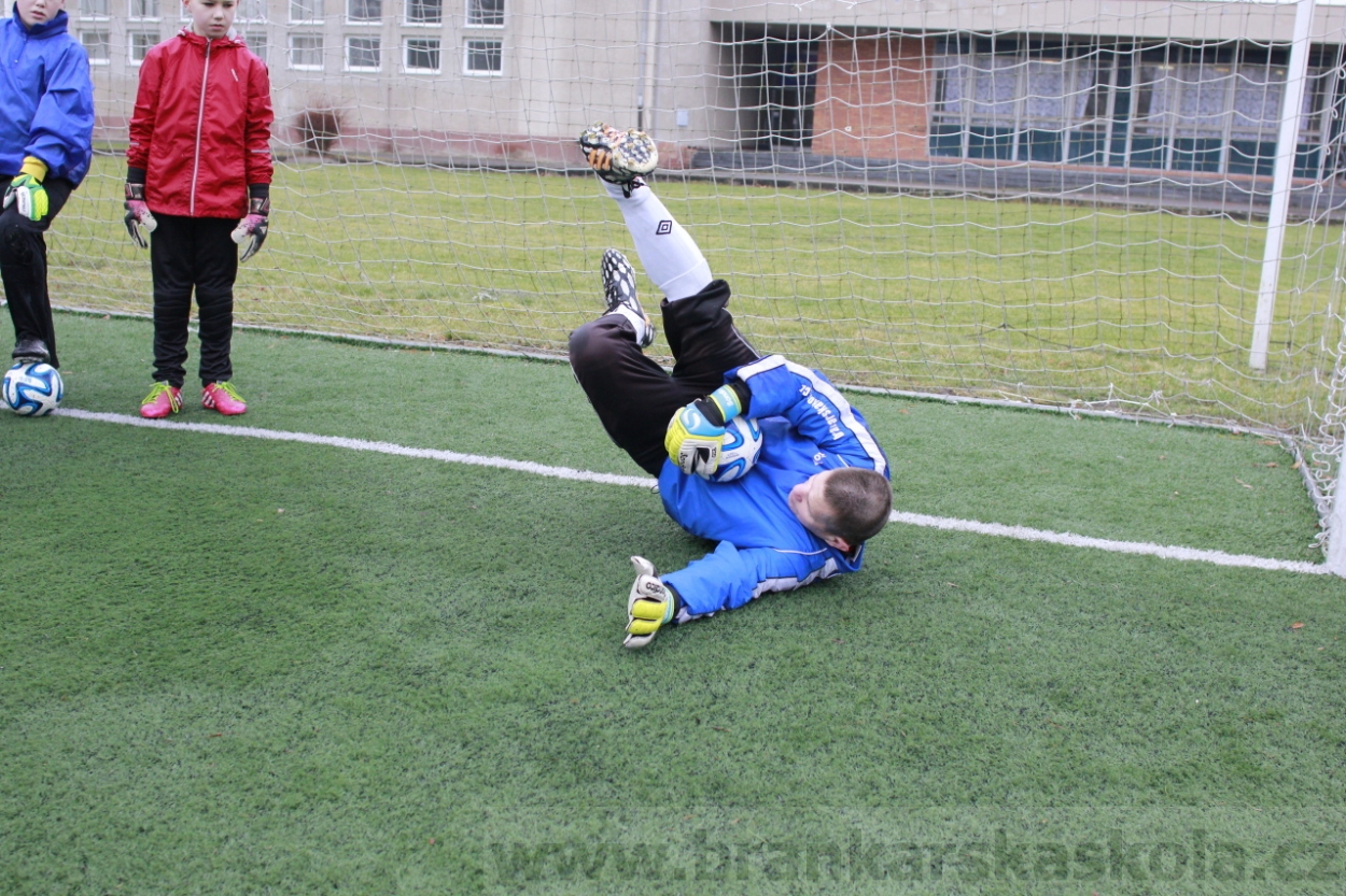 BFŠJCH - Zima 2015 - 30.1.2015