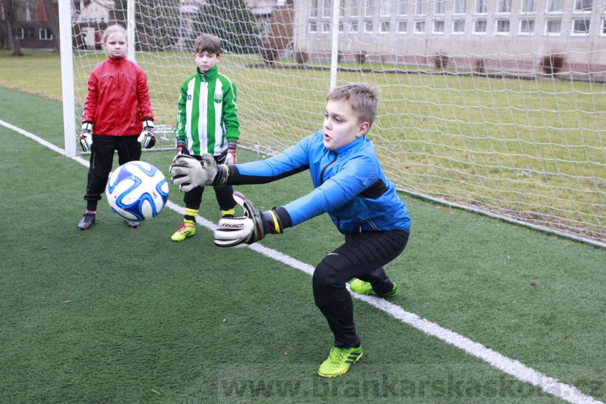 BFŠJCH - Zima 2015 - 30.1.2015