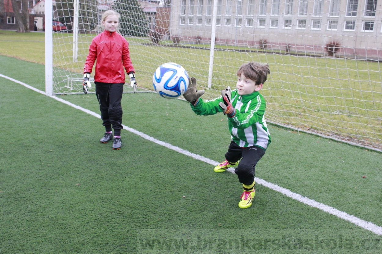 BFŠJCH - Zima 2015 - 30.1.2015