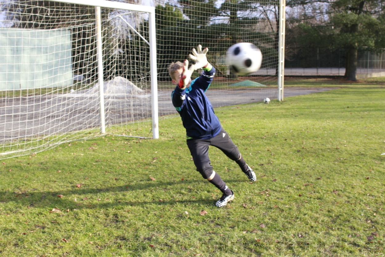 BFŠJCH - Zima 2015 - 31.1.2015