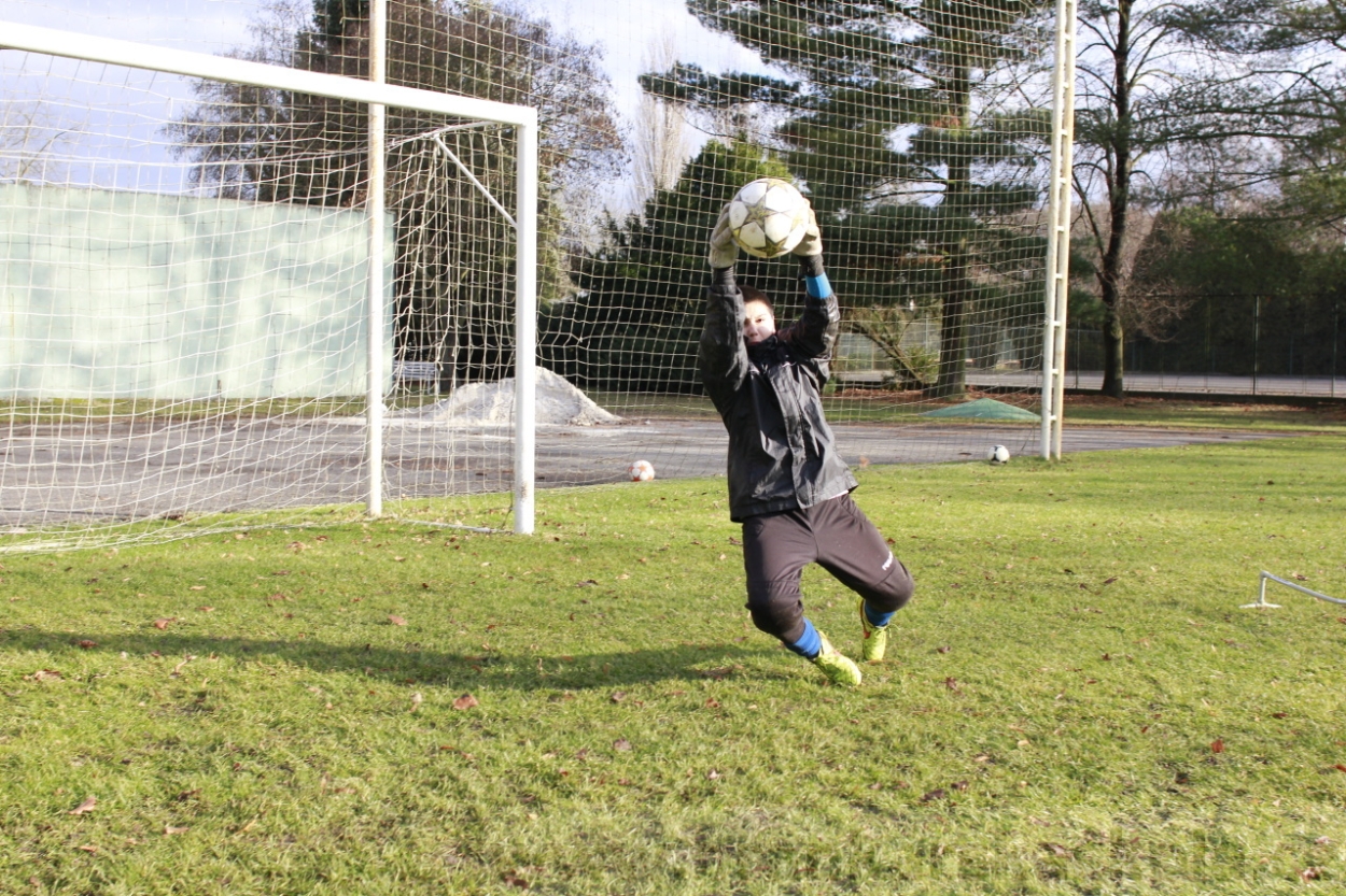 BFŠJCH - Zima 2015 - 31.1.2015