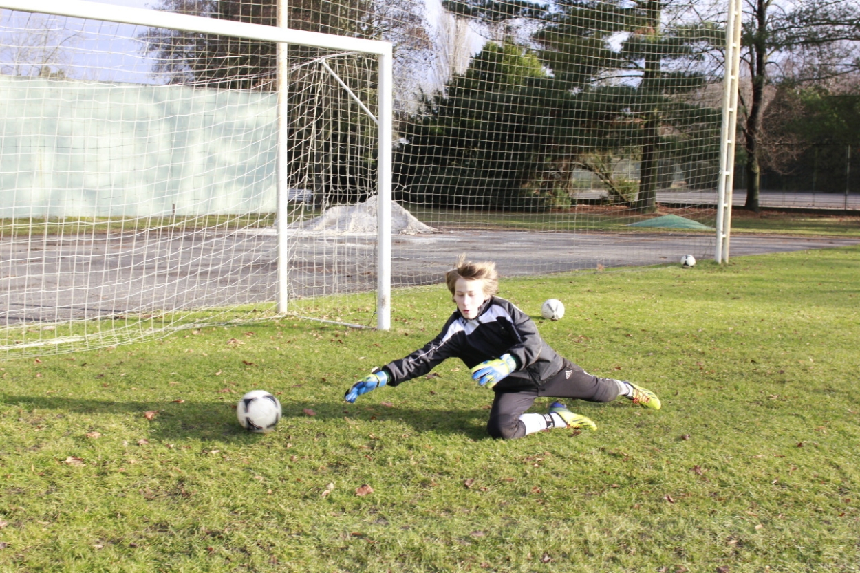 BFŠJCH - Zima 2015 - 31.1.2015