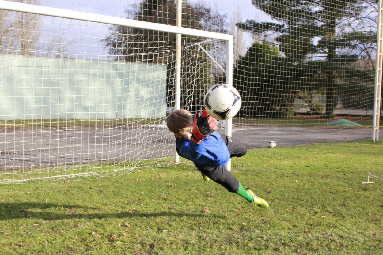 BFŠJCH - Zima 2015 - 31.1.2015