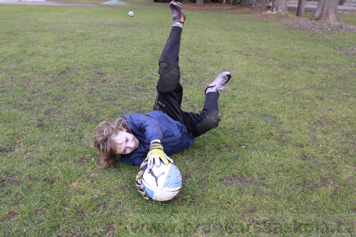 BFŠJCH - Zima 2015 - 31.1.2015