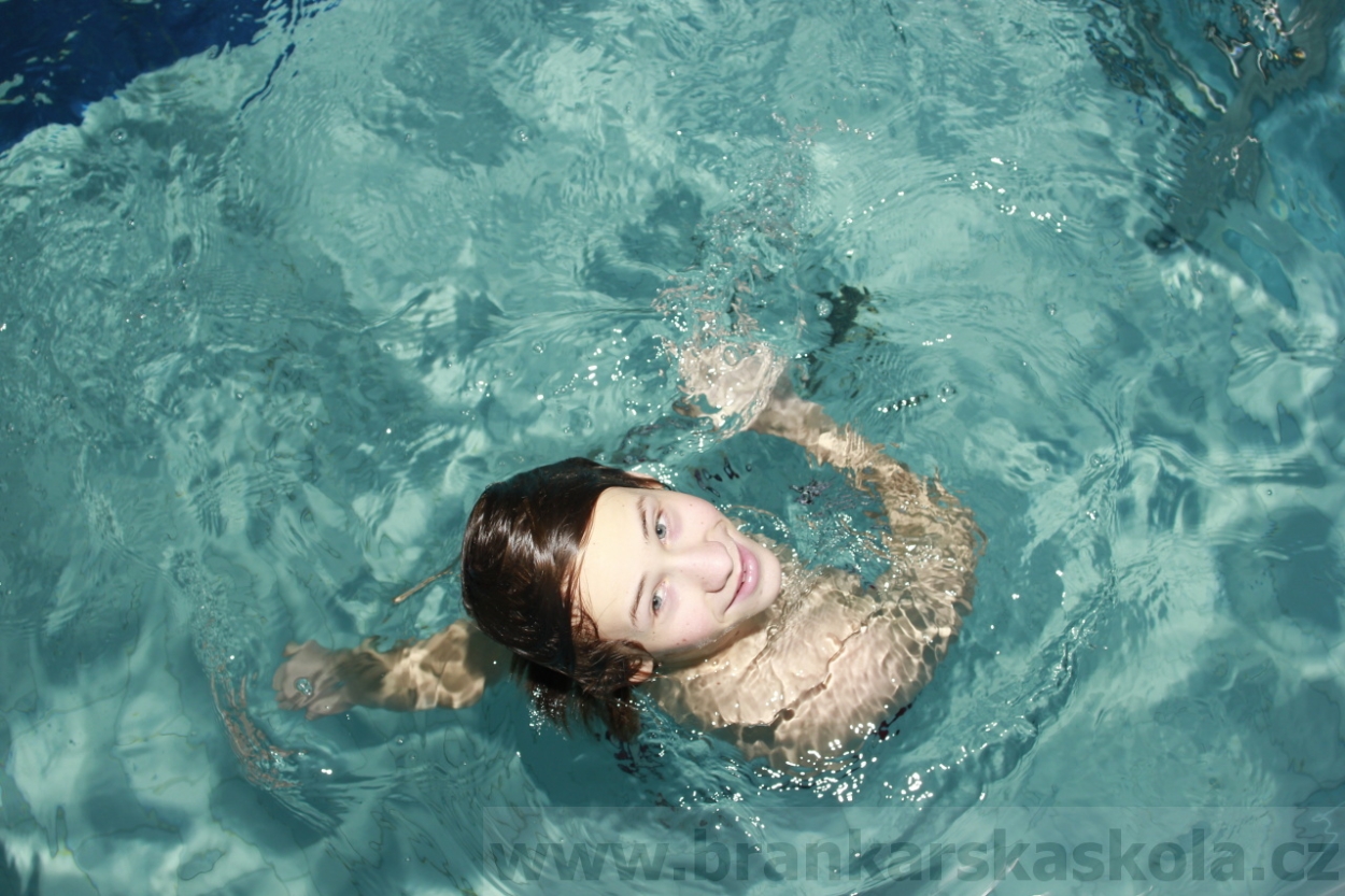 BFŠJCH - Zima 2015 - 31.1.2015