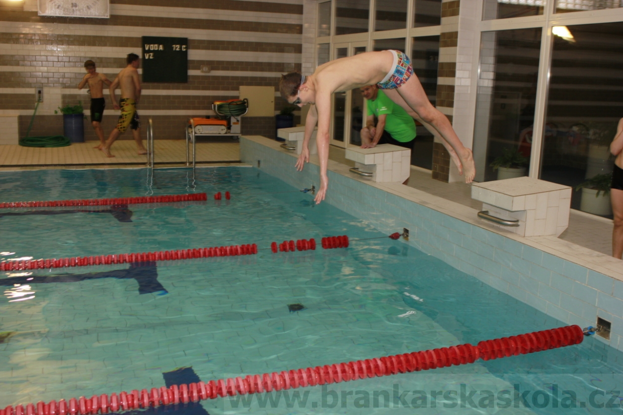 BFŠJCH - Zima 2015 - 31.1.2015