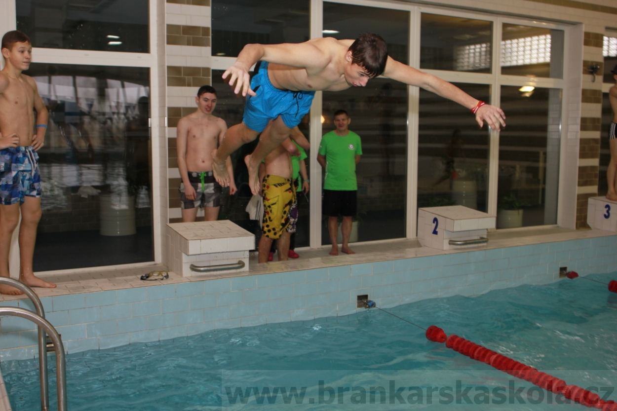 BFŠJCH - Zima 2015 - 31.1.2015