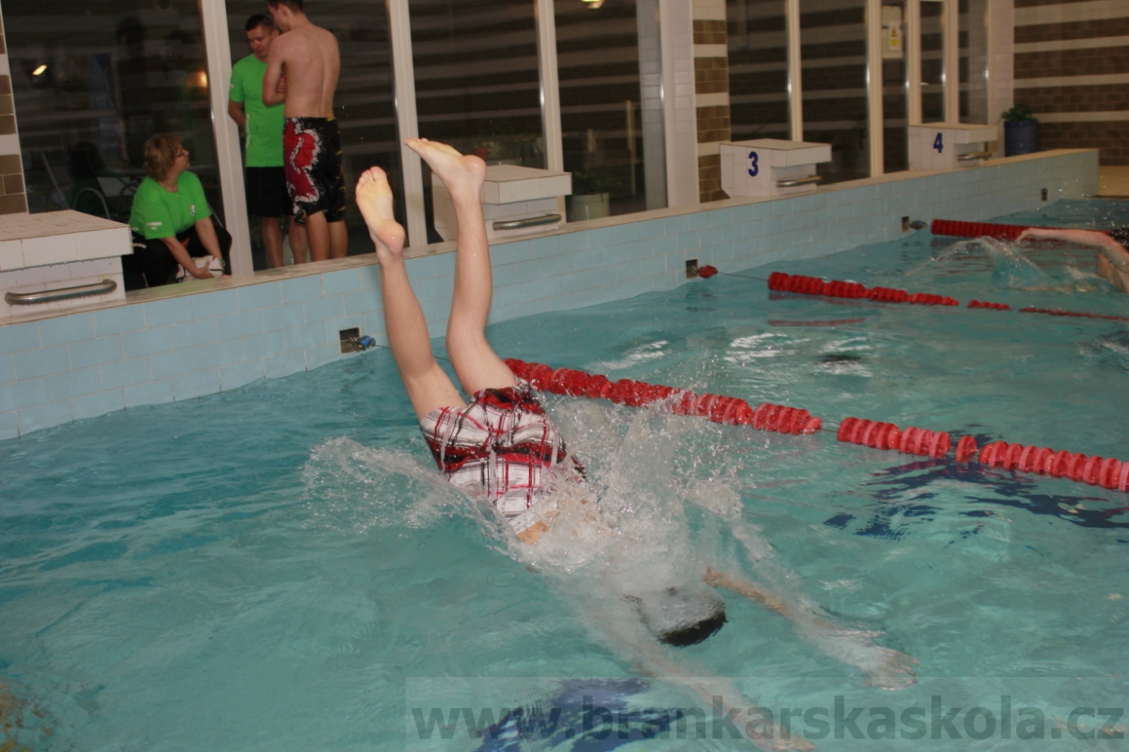 BFŠJCH - Zima 2015 - 31.1.2015