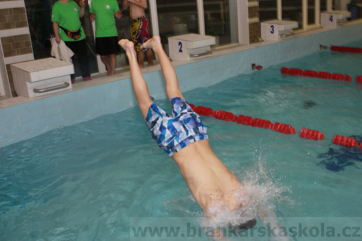 BFŠJCH - Zima 2015 - 31.1.2015