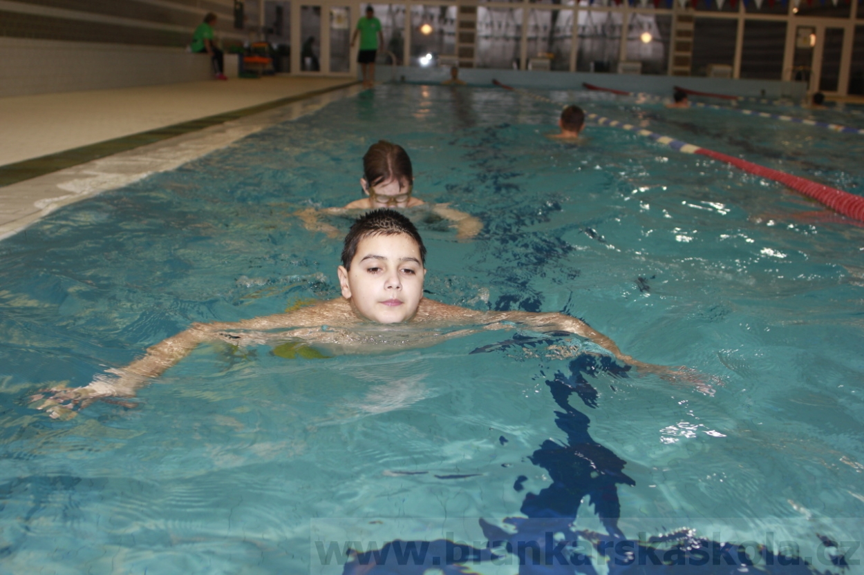 BFŠJCH - Zima 2015 - 31.1.2015