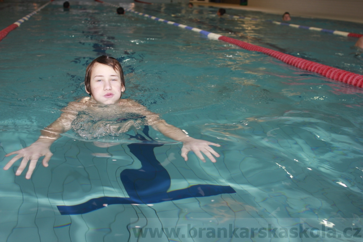 BFŠJCH - Zima 2015 - 31.1.2015