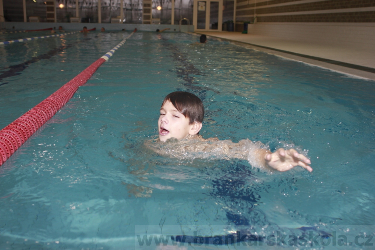 BFŠJCH - Zima 2015 - 31.1.2015