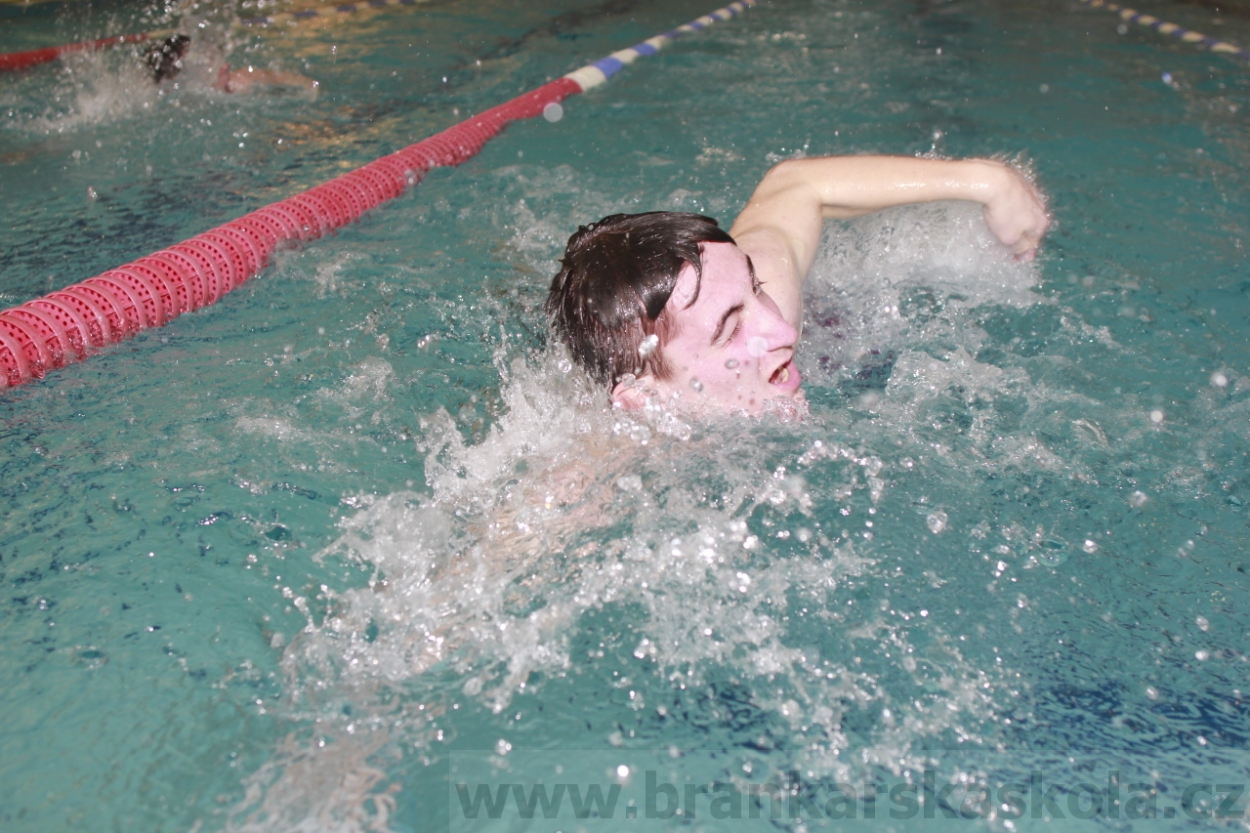 BFŠJCH - Zima 2015 - 31.1.2015