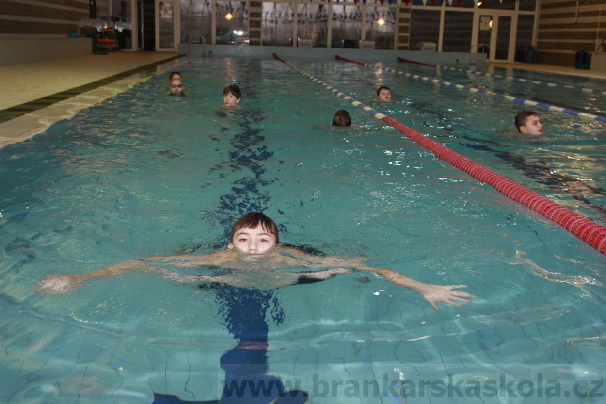 BFŠJCH - Zima 2015 - 31.1.2015