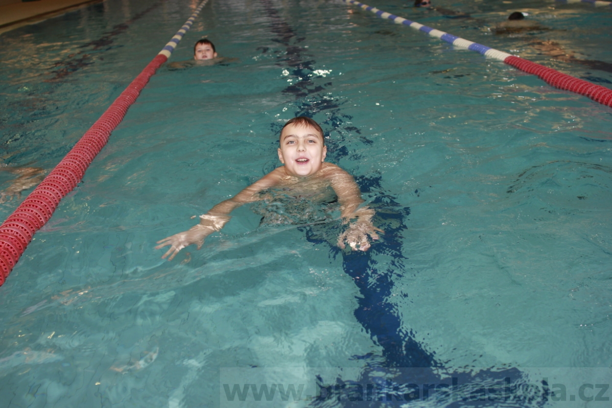 BFŠJCH - Zima 2015 - 31.1.2015