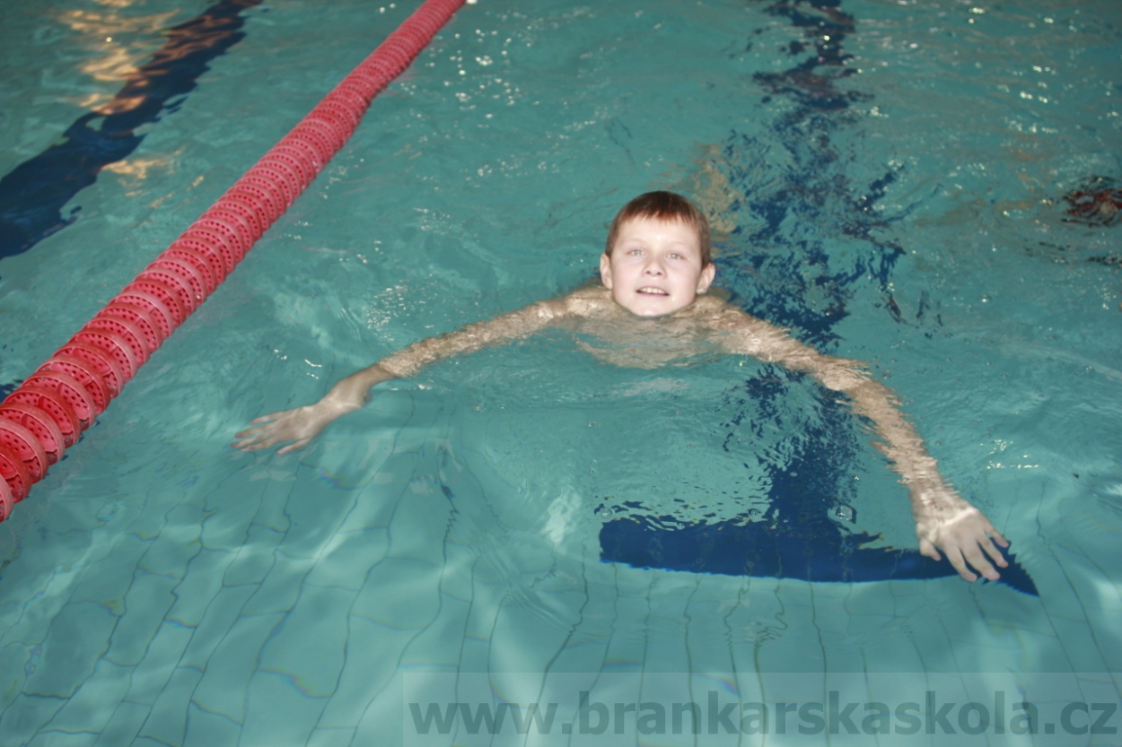 BFŠJCH - Zima 2015 - 31.1.2015