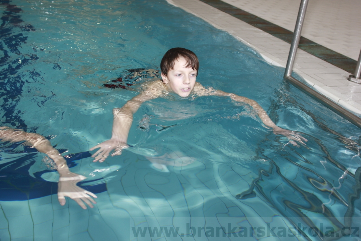 BFŠJCH - Zima 2015 - 31.1.2015