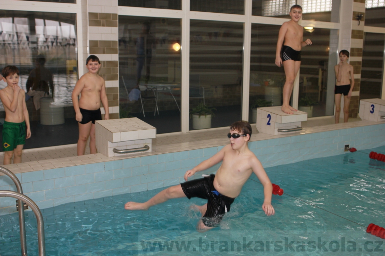 BFŠJCH - Zima 2015 - 31.1.2015