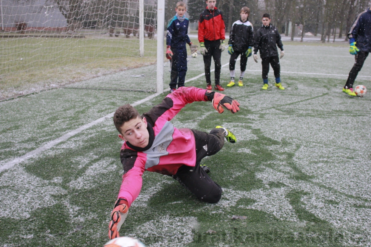 BFŠJCH - Zima 2015 - 31.1.2015