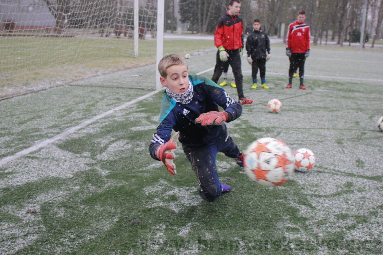 BFŠJCH - Zima 2015 - 31.1.2015