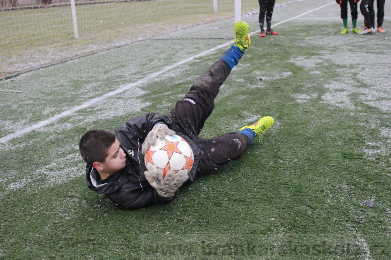 BFŠJCH - Zima 2015 - 31.1.2015