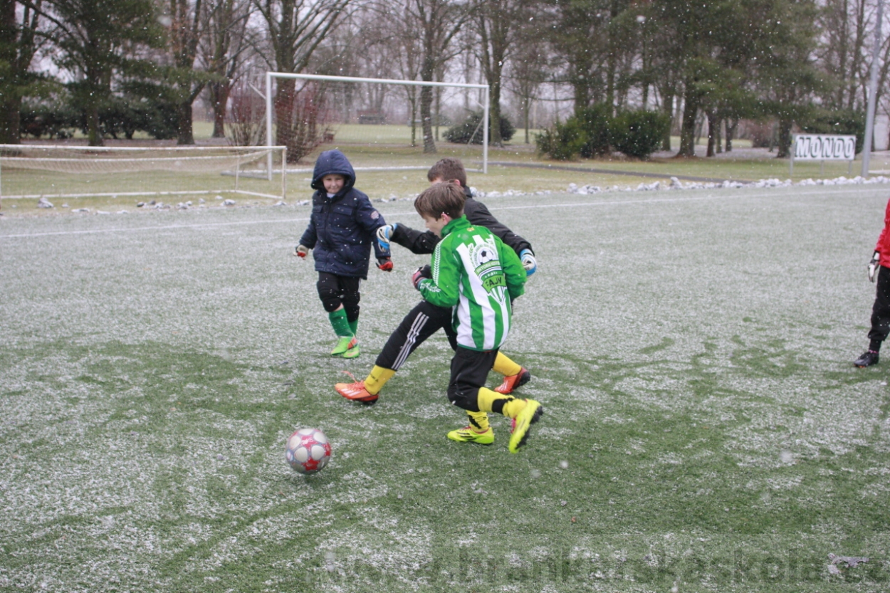 BFŠJCH - Zima 2015 - 31.1.2015