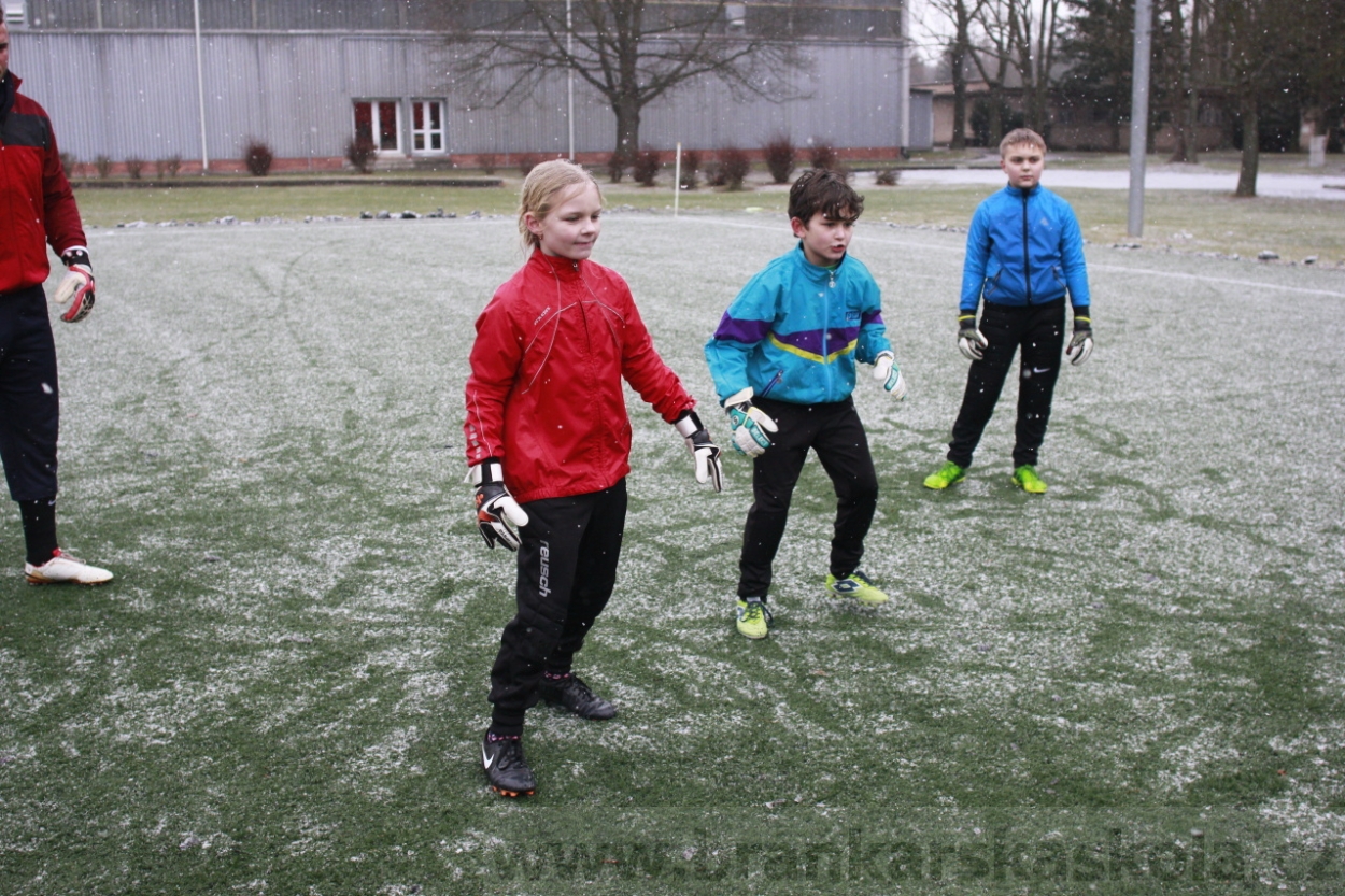 BFŠJCH - Zima 2015 - 31.1.2015