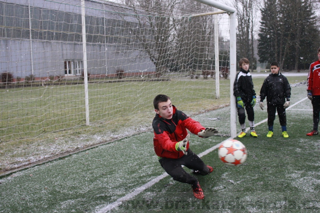 BFŠJCH - Zima 2015 - 31.1.2015