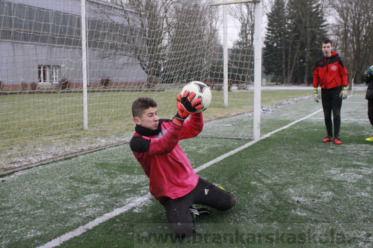 BFŠJCH - Zima 2015 - 31.1.2015