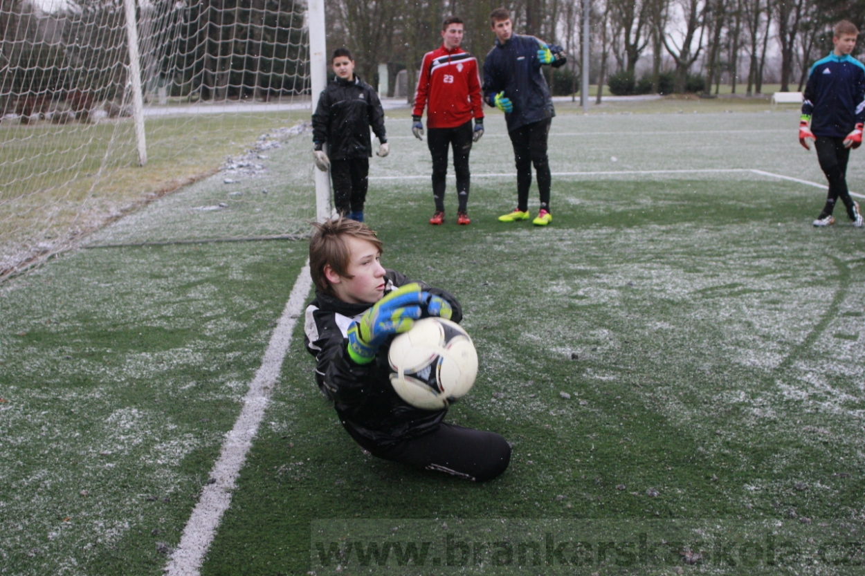 BFŠJCH - Zima 2015 - 31.1.2015