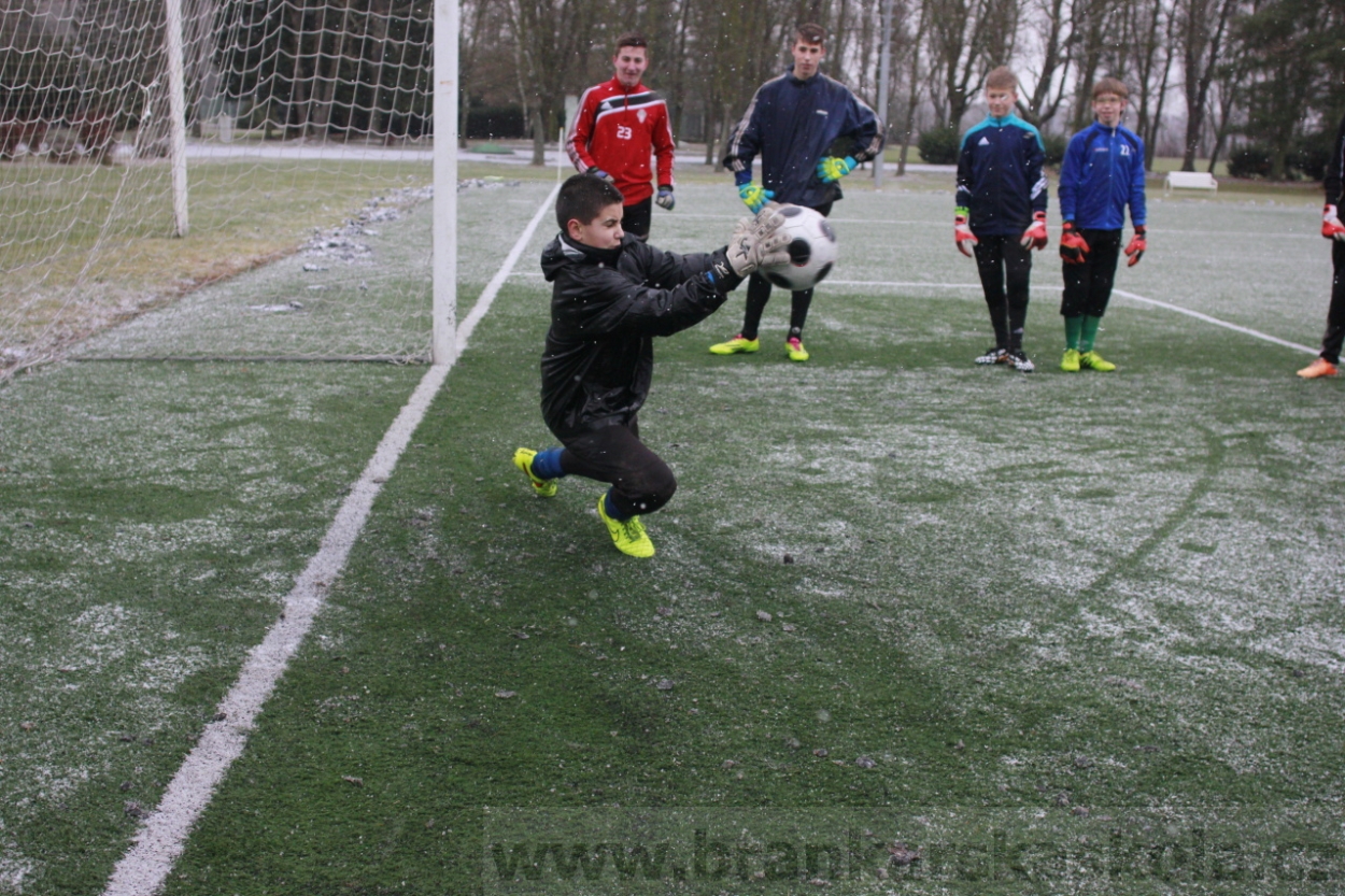 BFŠJCH - Zima 2015 - 31.1.2015