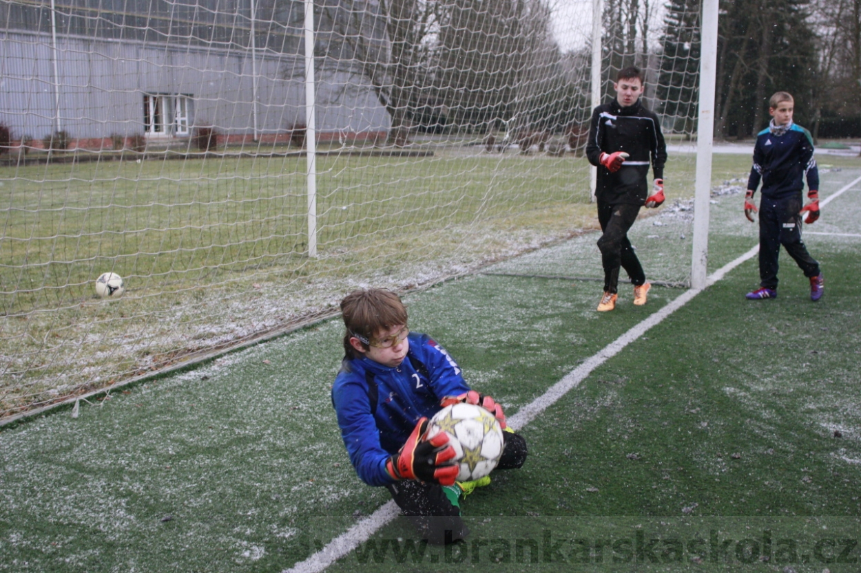 BFŠJCH - Zima 2015 - 31.1.2015