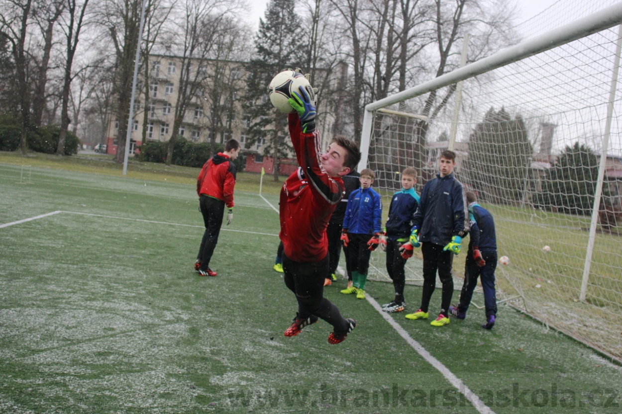 BFŠJCH - Zima 2015 - 31.1.2015