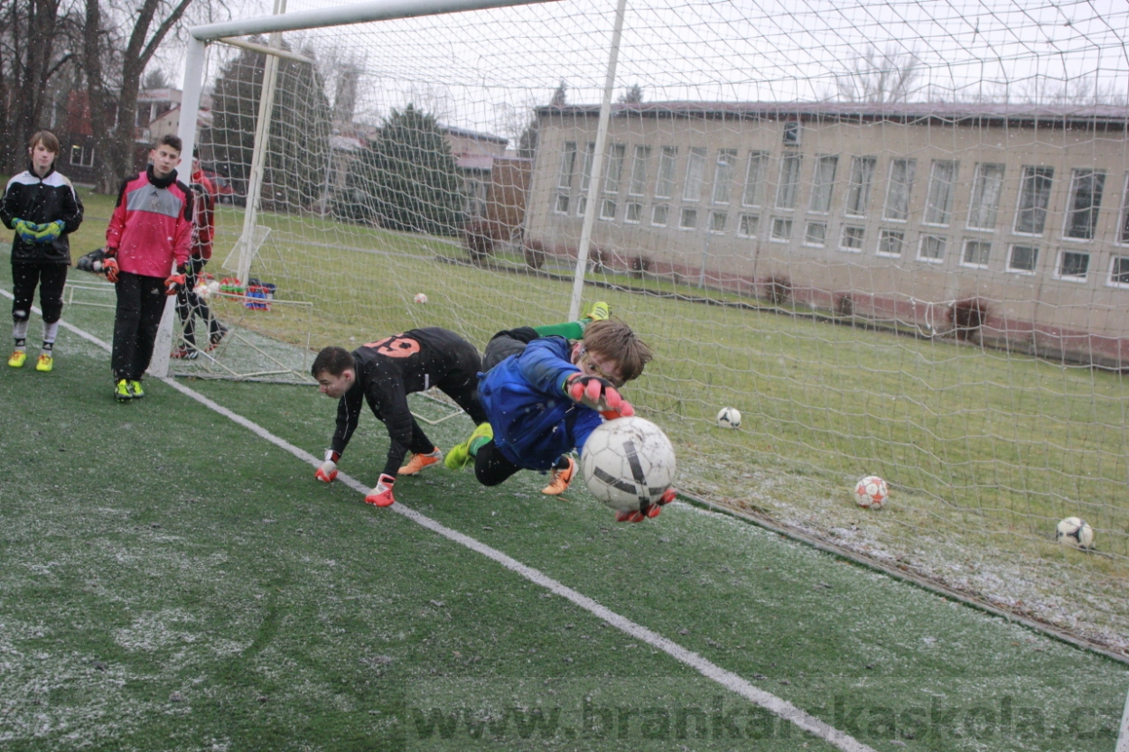 BFŠJCH - Zima 2015 - 31.1.2015