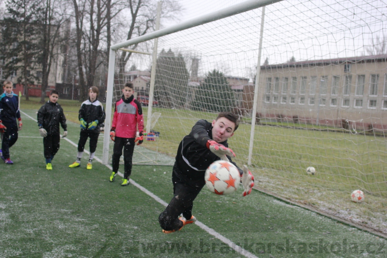 BFŠJCH - Zima 2015 - 31.1.2015