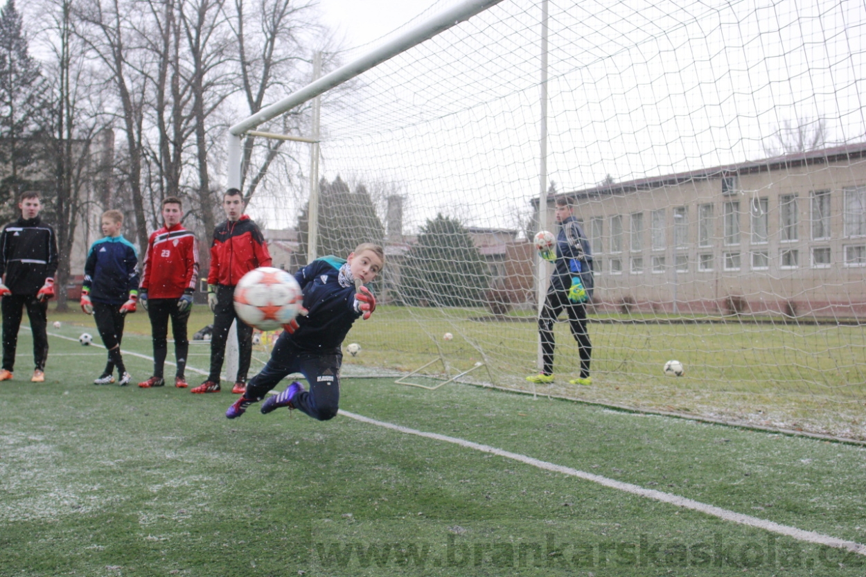 BFŠJCH - Zima 2015 - 31.1.2015