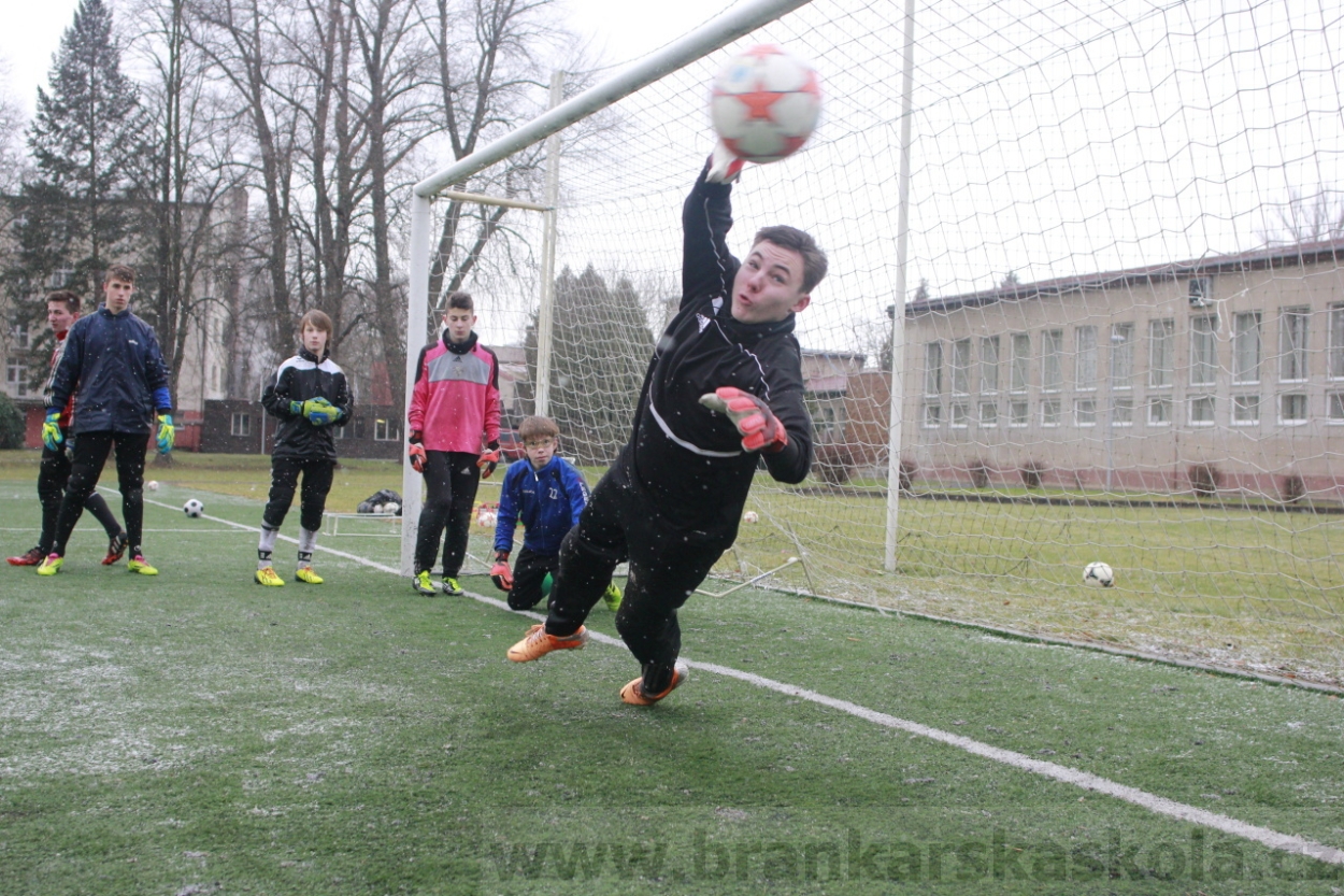 BFŠJCH - Zima 2015 - 31.1.2015